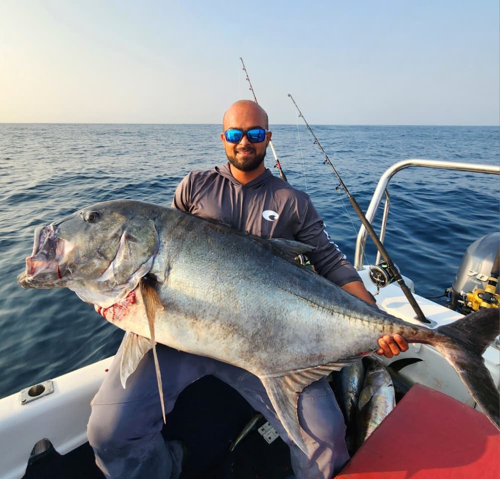 Observação de Baleias