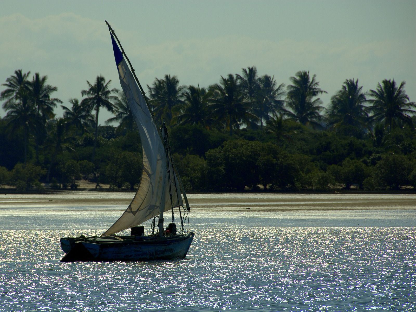Snorkeling na Ilha de Inhaca